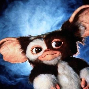 Meet your Posher, Johnathan